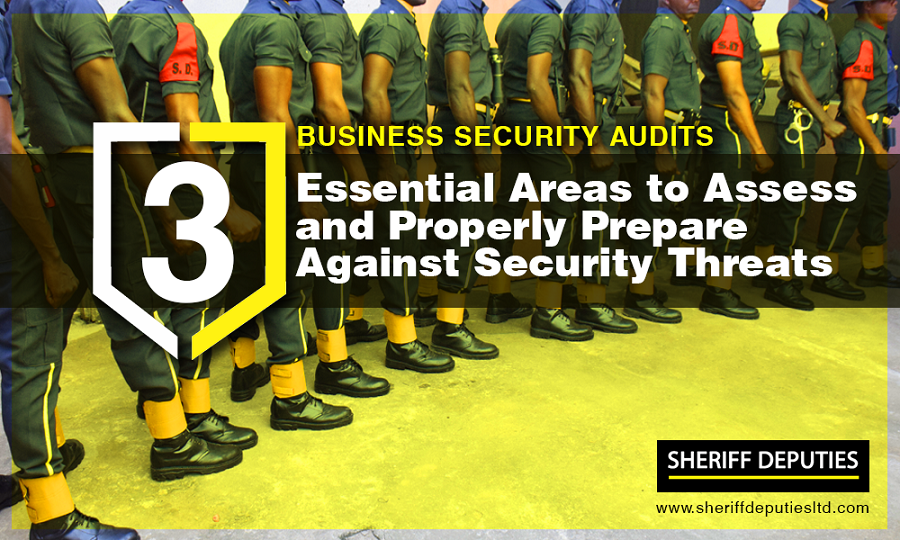 business security audits