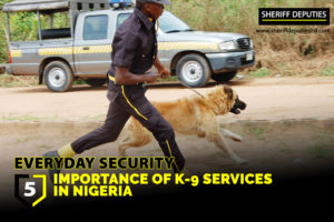 Importance Of K-9 Services In Nigeria