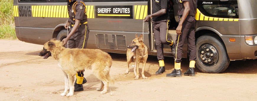 sheriff-k9