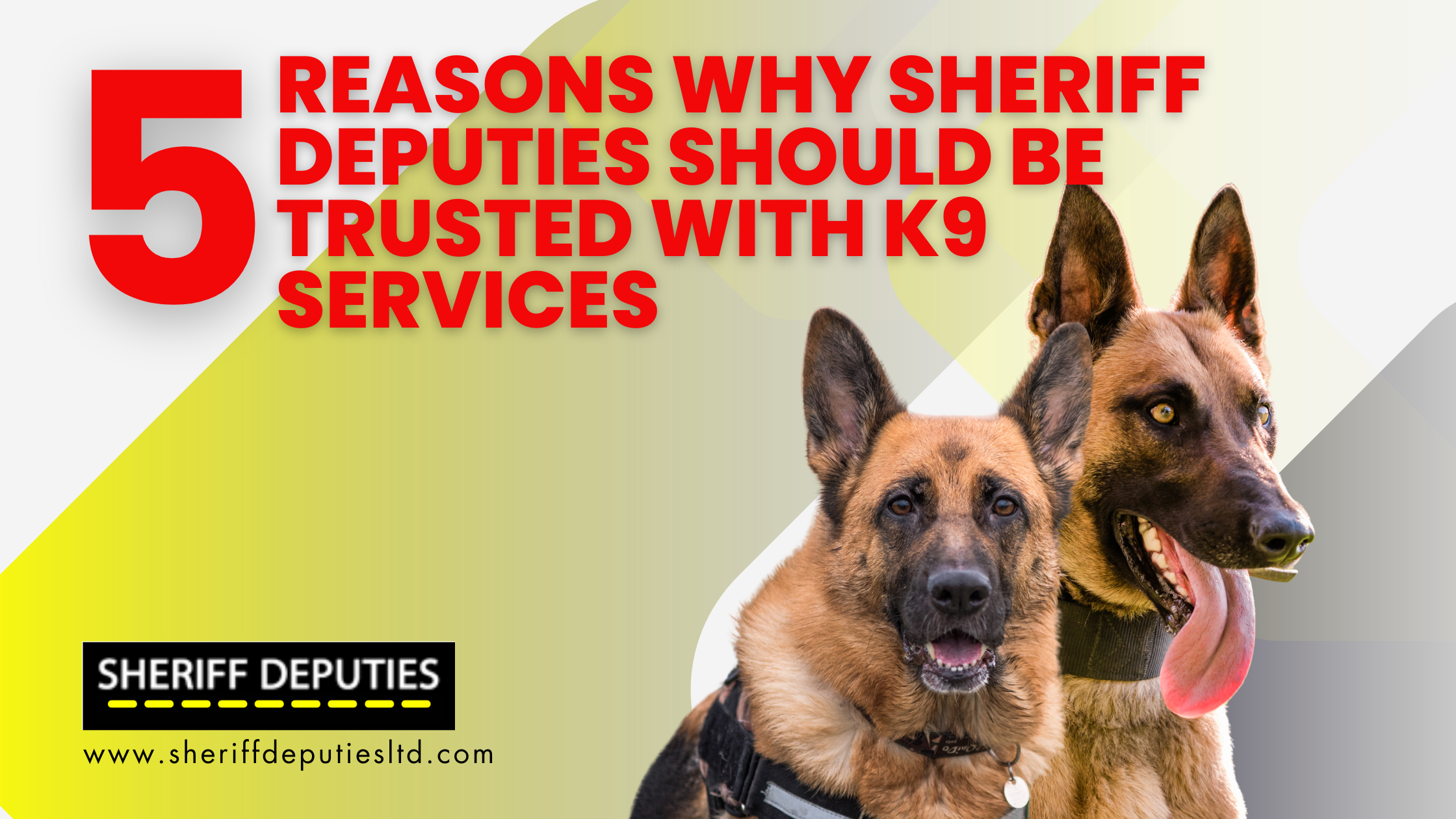 5 Reasons Why Sheriff Deputies Should Be Trusted with K9 Services