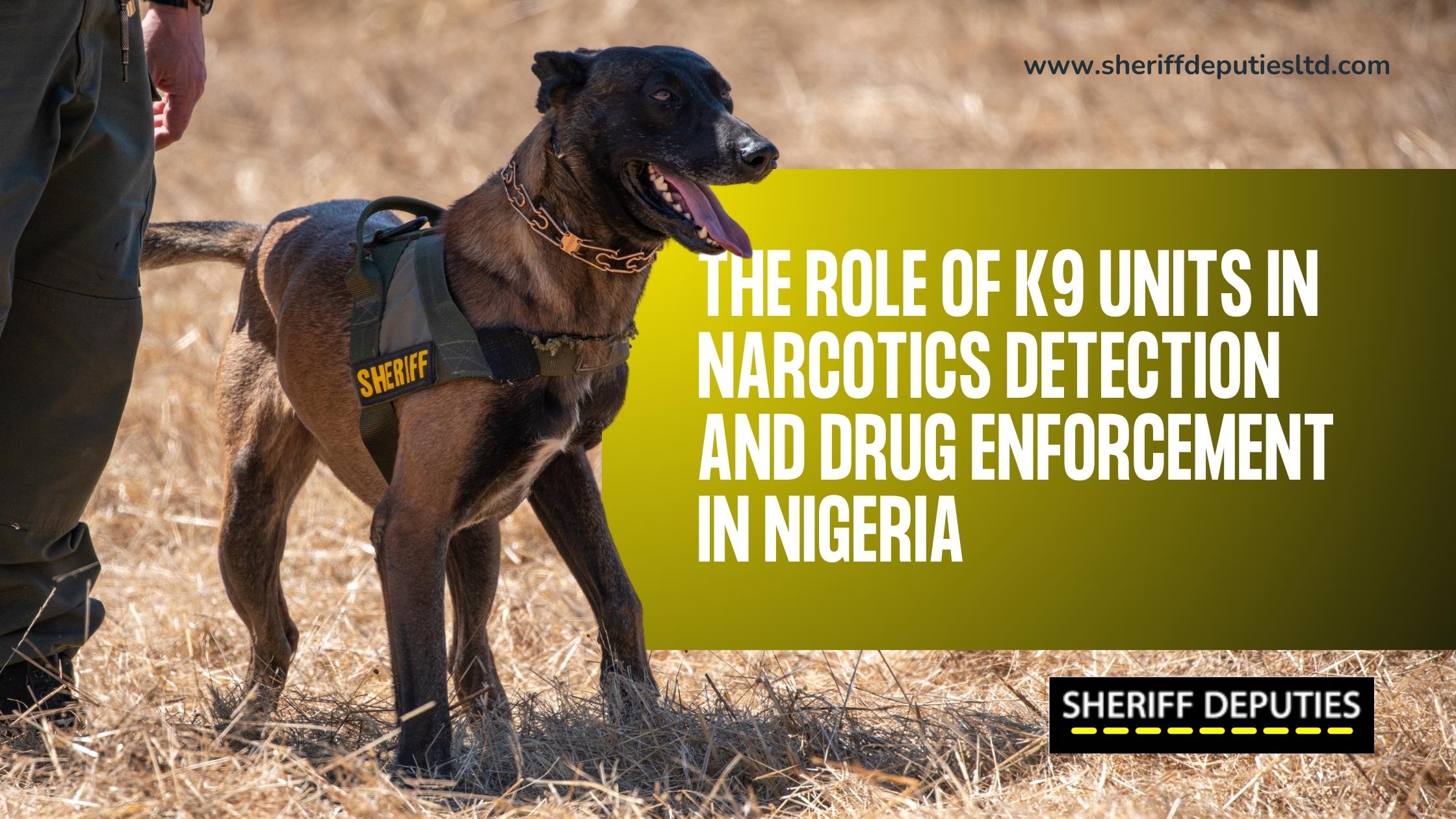 The Role of K9 Units in Narcotics Detection and Drug Enforcement in Nigeria