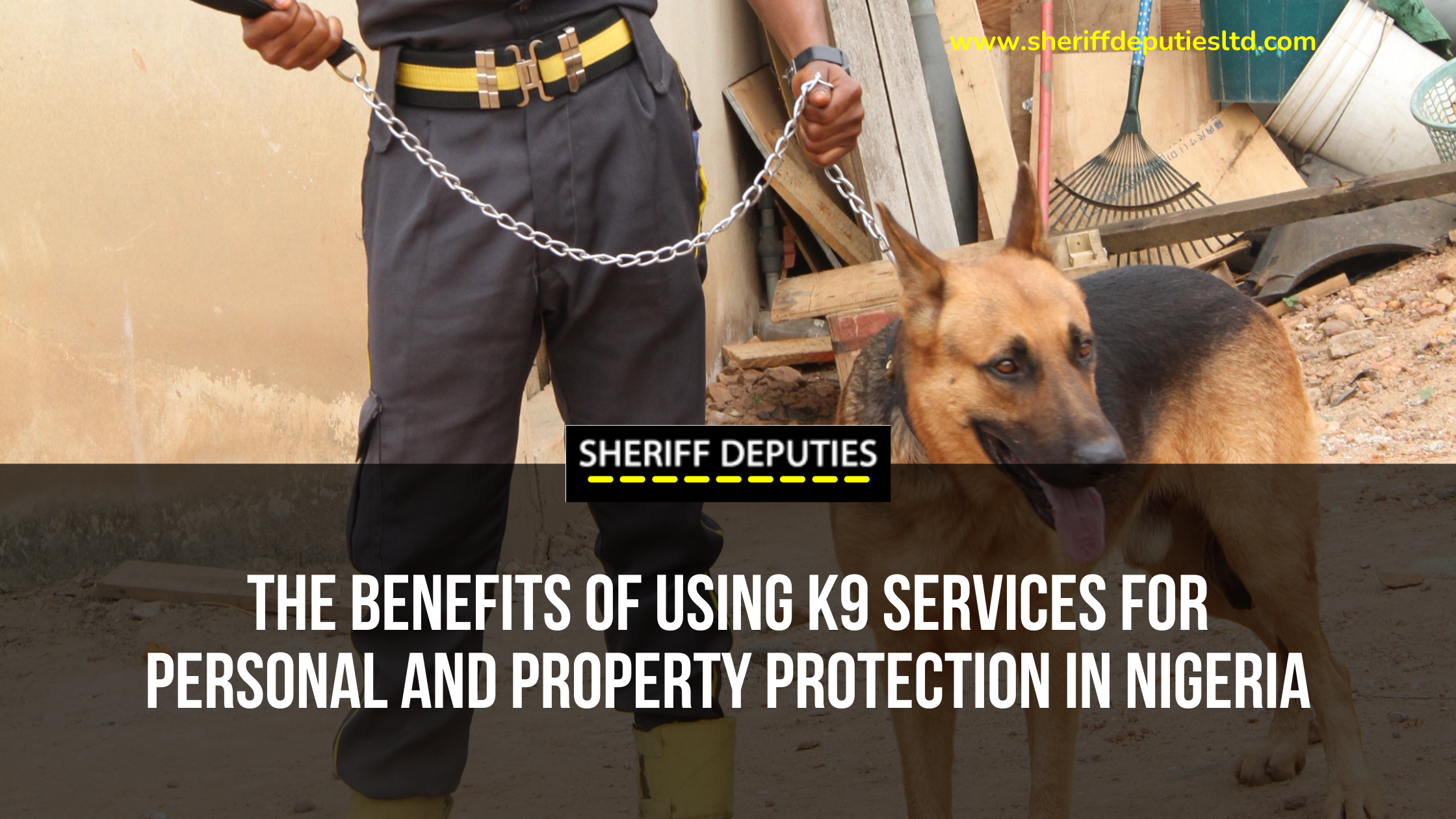 The Benefits of Using K9 Services for Personal and Property Protection in Nigeria