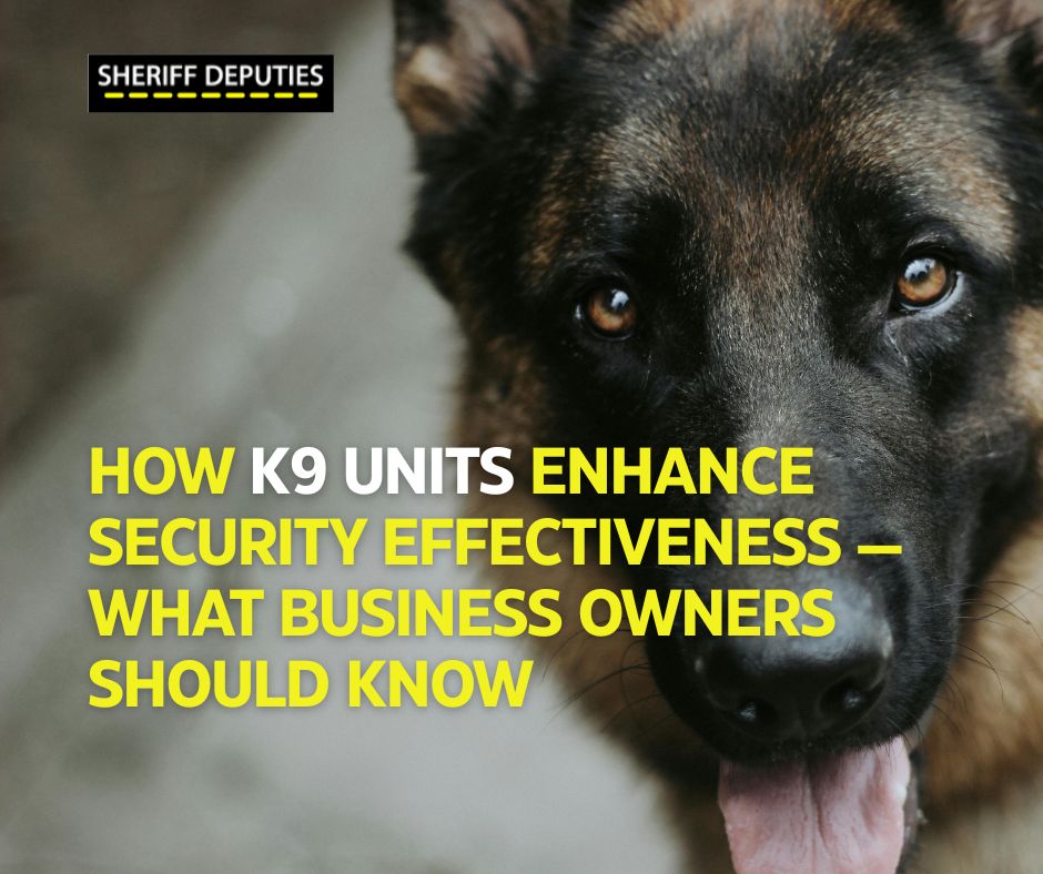 How K9 Units Enhance Security Effectiveness — What Business Owners Should Know